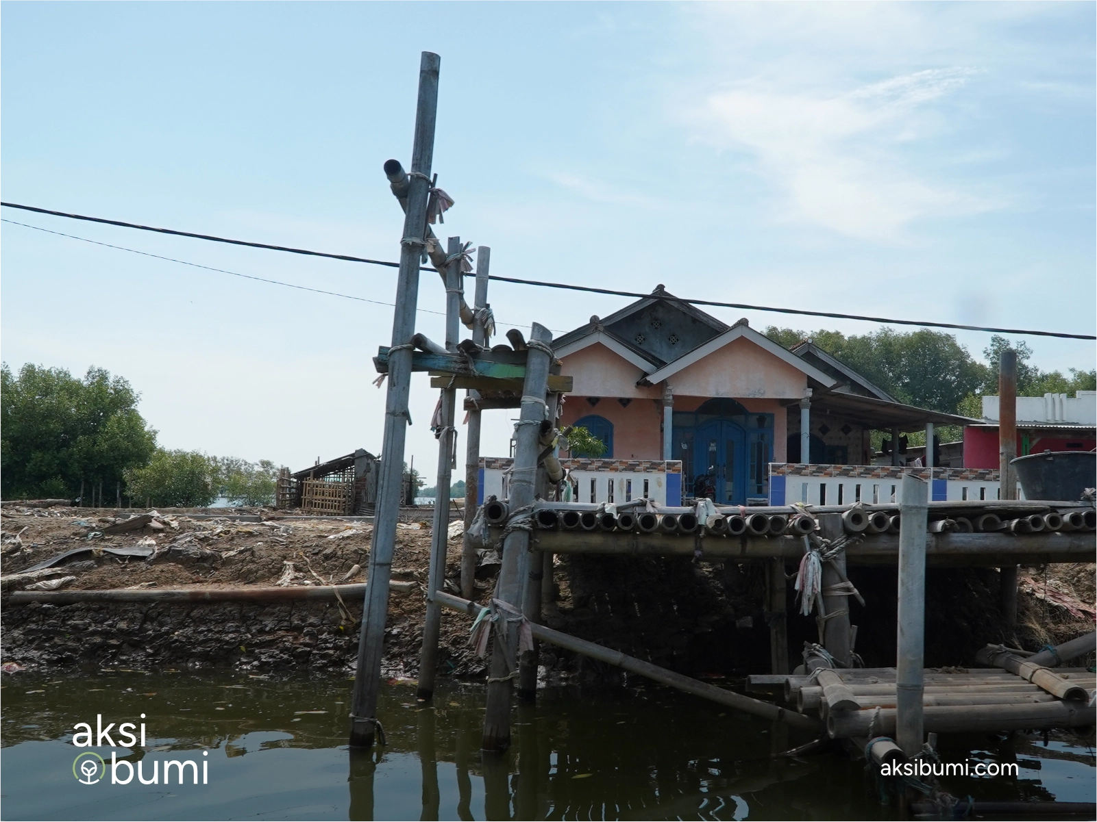 PT BNM Tbk CSR Mangrove Pantai Bahagia