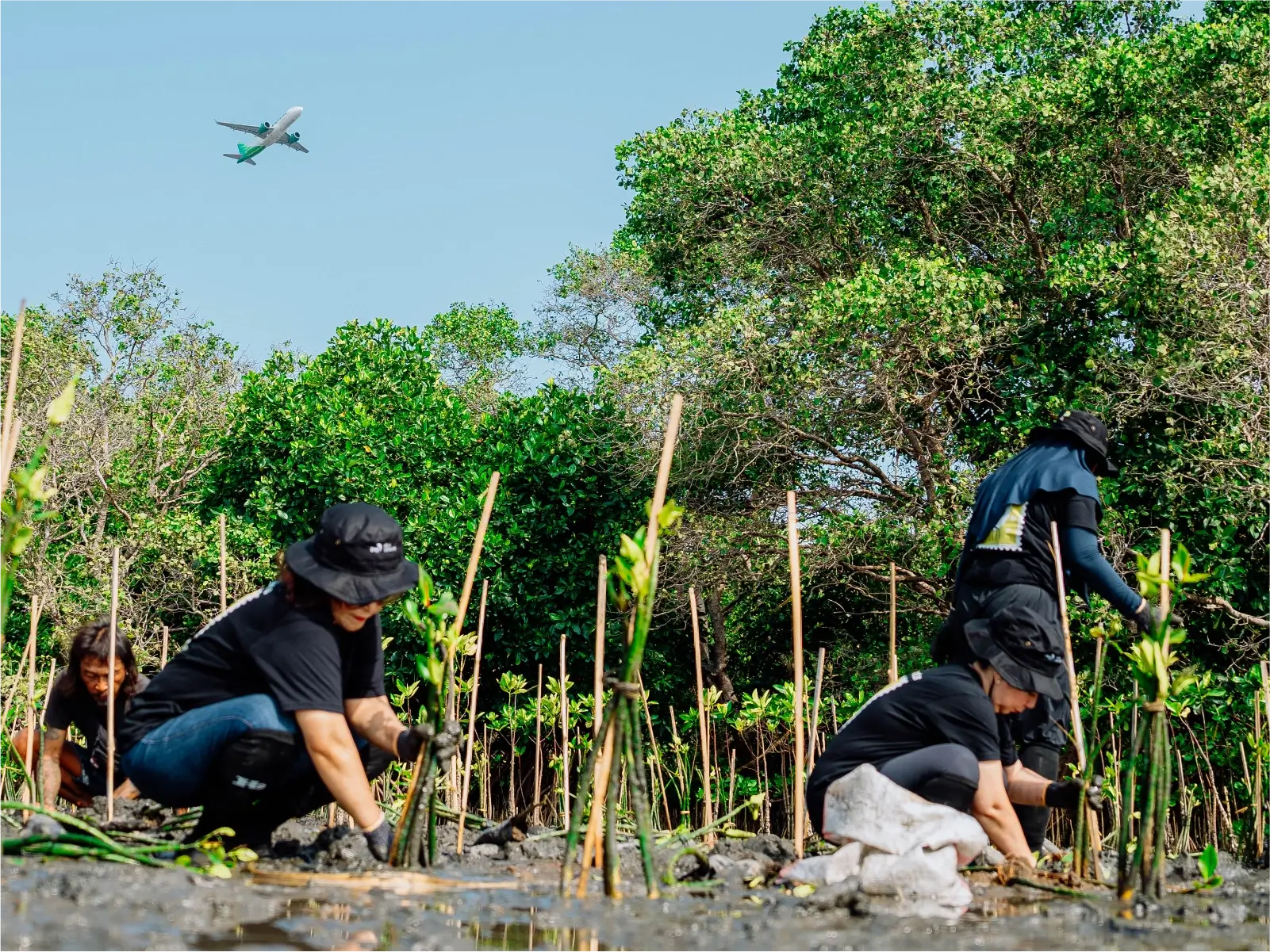 Penanaman Mangrove Tanjung Sari Kelan Bali PT Batulicin Nusantara Maritim Tbk